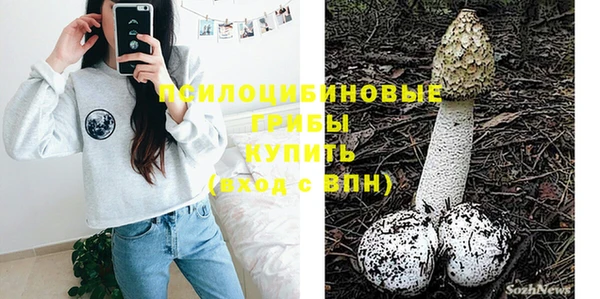 кокаин Белокуриха