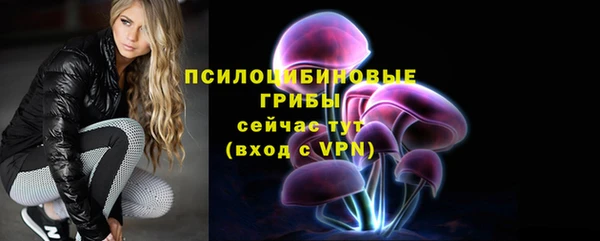 mdpv Балахна
